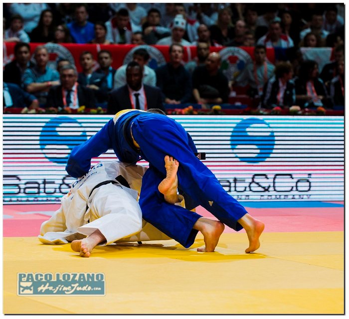 Paris 2014 by P.Lozano cat -73 kg (225)